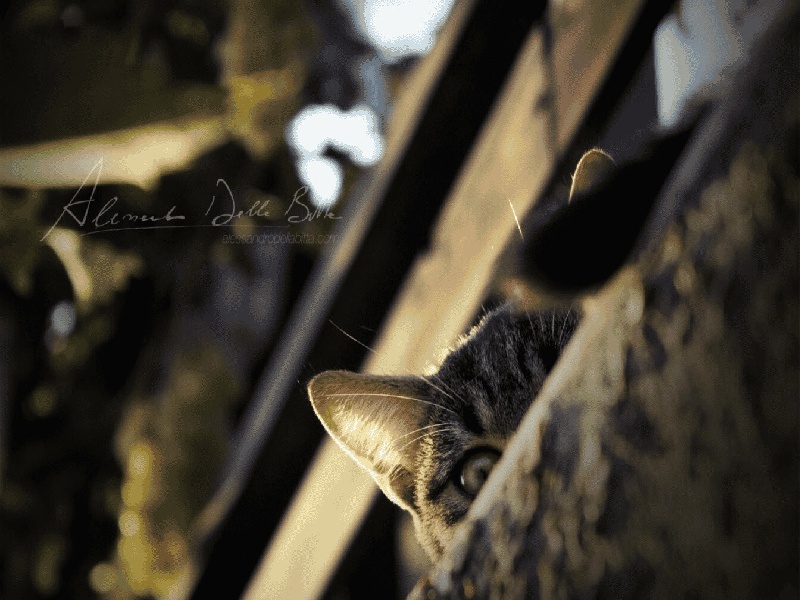 九零后小伙试管,加热试管先夹